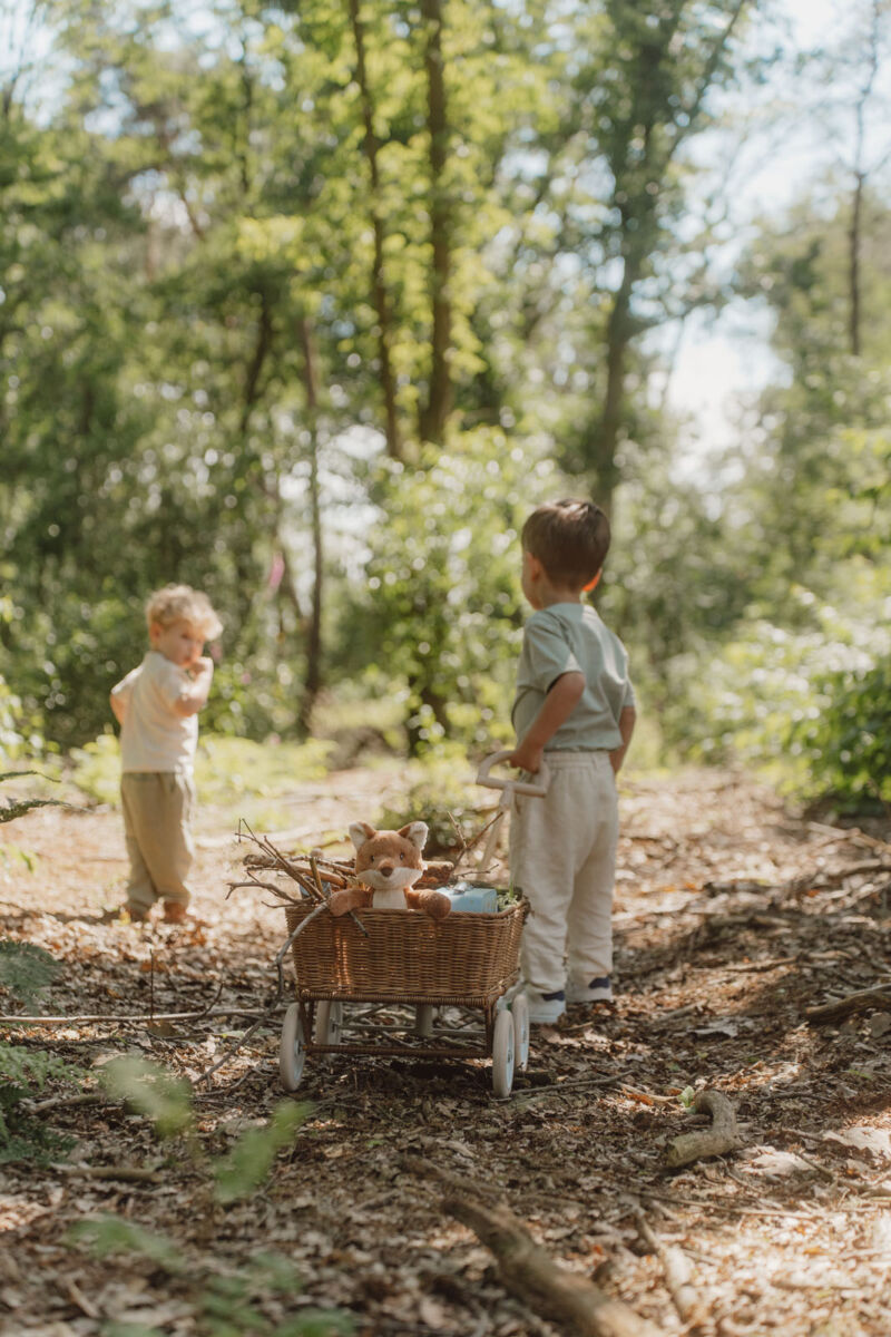 Little Dutch Mängukohvrite komplekt ´Forest Friends´ FSC - Image 13