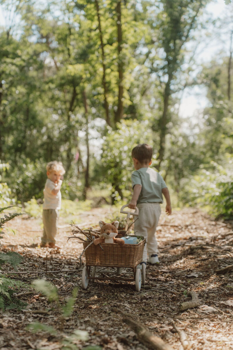 Little Dutch Kaisu-rebane ´Forest Friends´ GRS - Image 8
