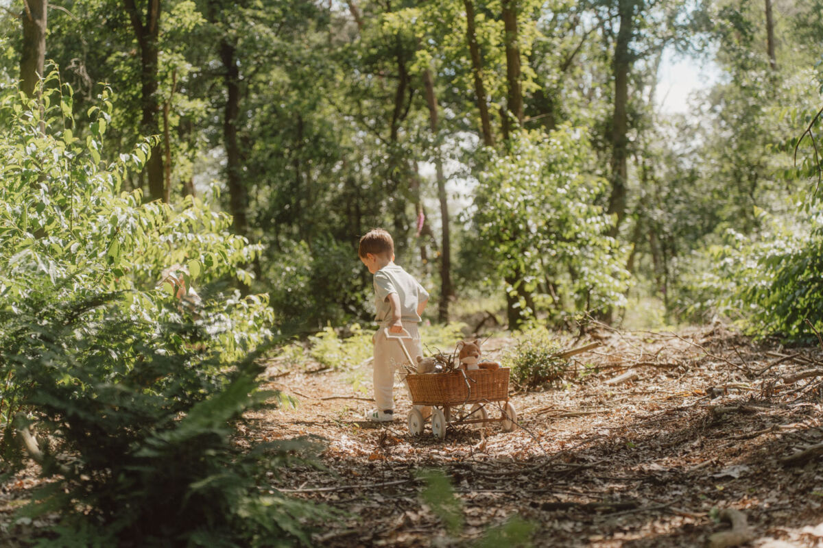 Little Dutch Kaisu-rebane ´Forest Friends´ GRS - Image 12