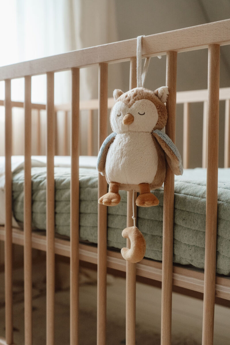 Little Dutch Öökull muusikaga ´Forest Friends´ GRS - Image 3