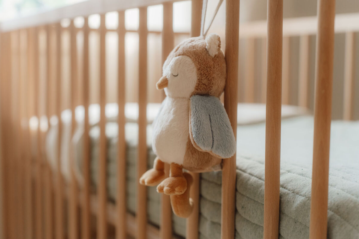 Little Dutch Öökull muusikaga ´Forest Friends´ GRS - Image 5