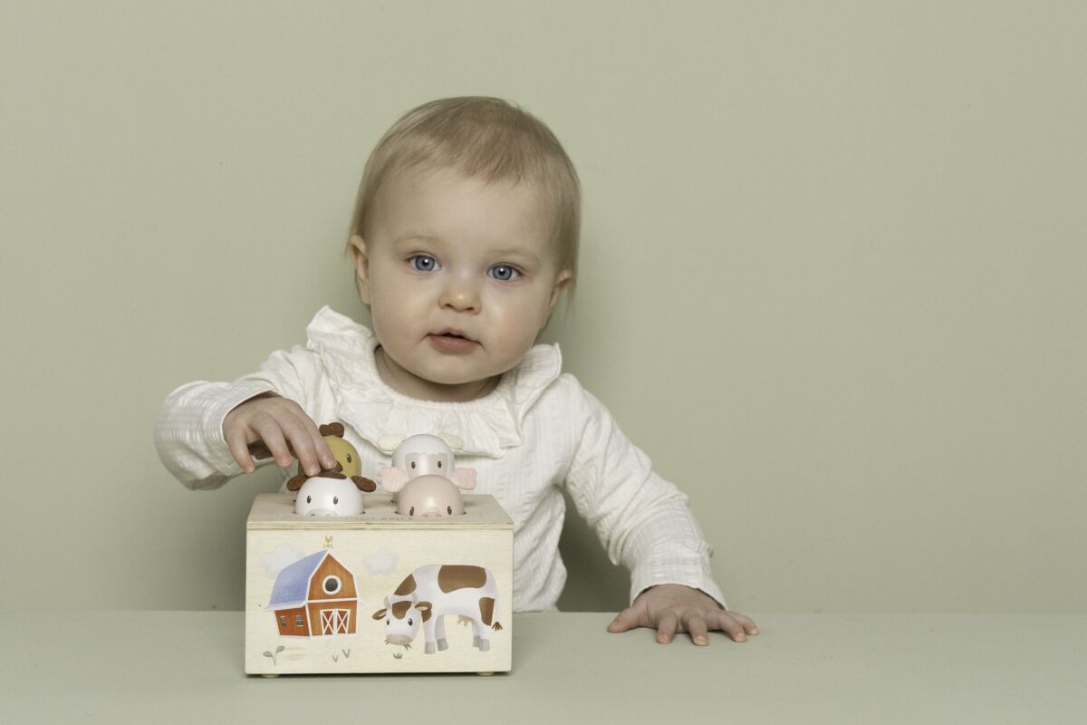 Little Dutch Hüpikmängusi ´Little Farm´ FSC - Image 8