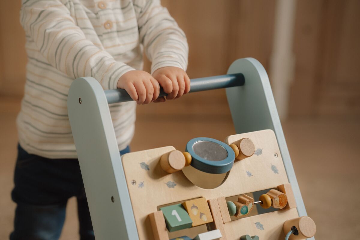 Little Dutch Multifunktsionaalne kõndimiskäru ´Forest Friends´ FSC puidust - Image 16