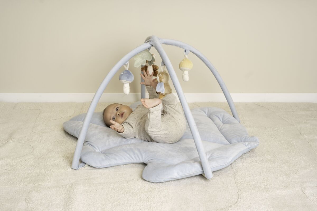 Little Dutch Pehme mängu/lamamismatt rippuvate leludega ´Forest Friends´ GRS - Image 5