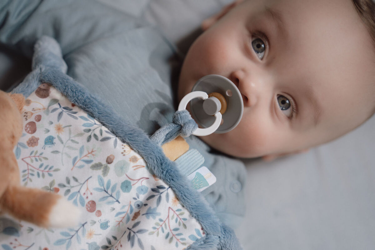 Little Dutch Kaisulapp rebase ja lutihoidjaga ´Forest Friends´ GRS - Image 5