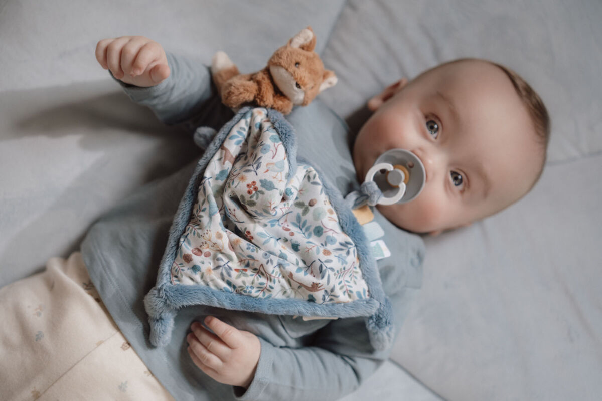 Little Dutch Kaisulapp rebase ja lutihoidjaga ´Forest Friends´ GRS - Image 7