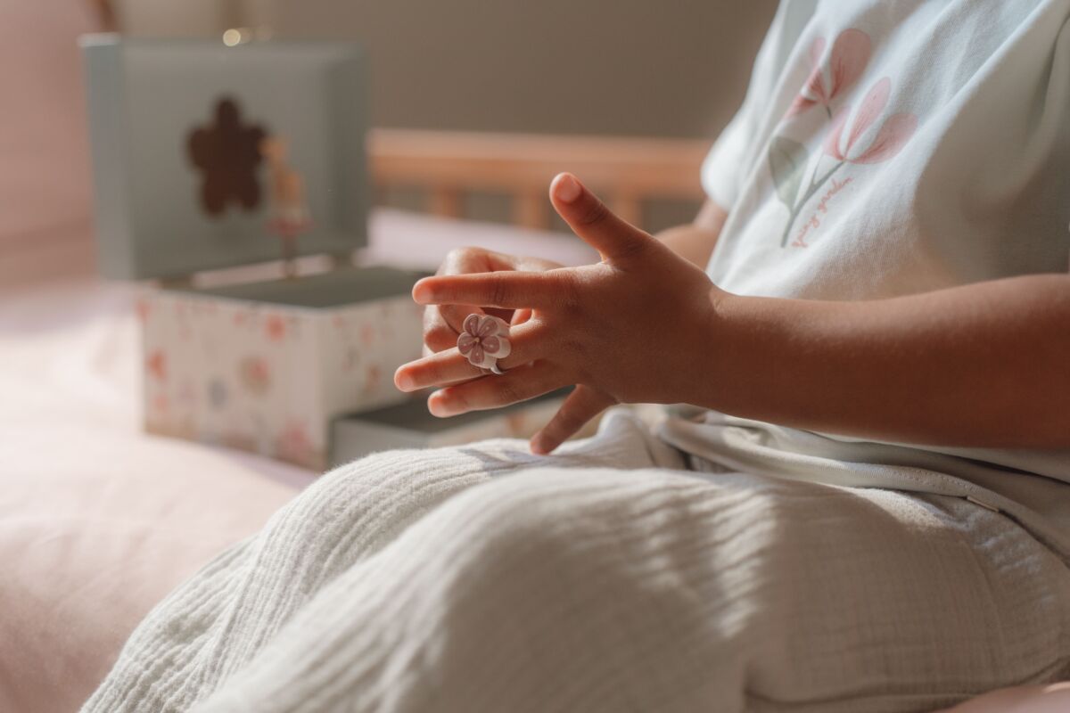 Little Dutch Ehtekarp muusikaga ´Forest Friends´ - Image 16