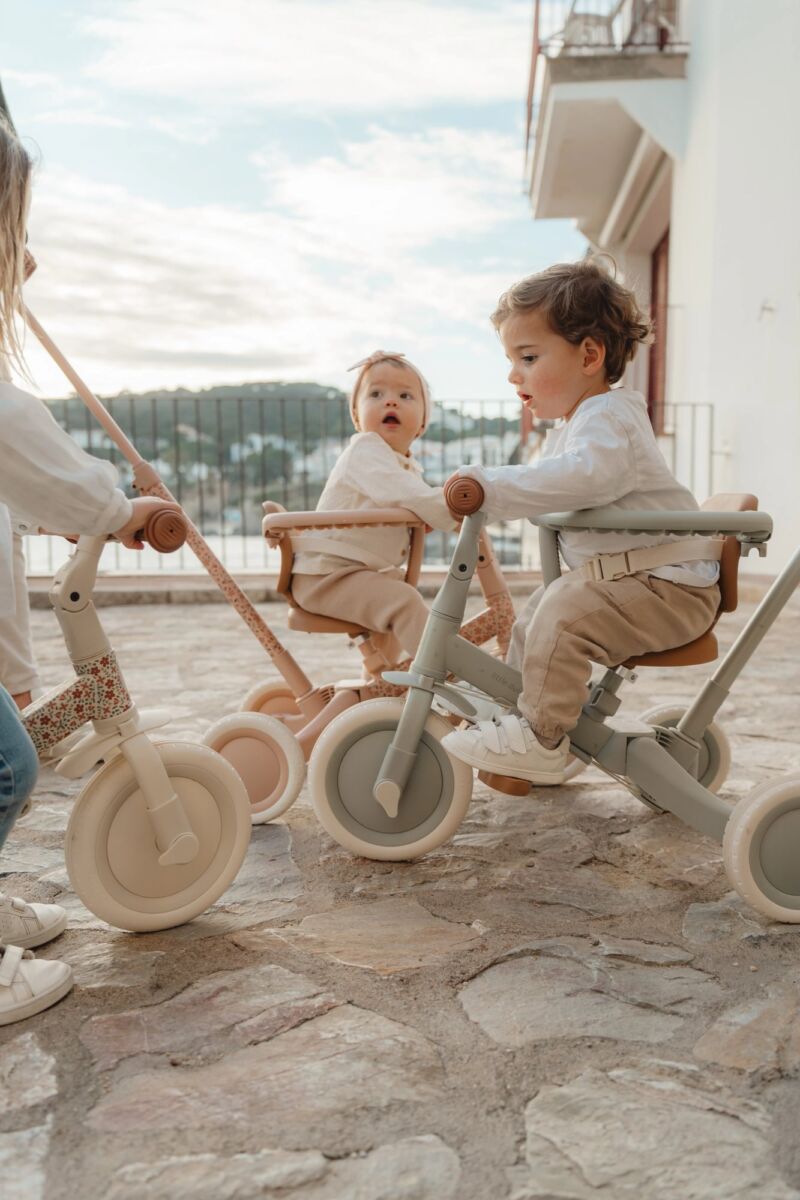 Little Dutch Jalgratas 4-ühes koos lükkesangaga ´Sunny Flower´ - Image 10