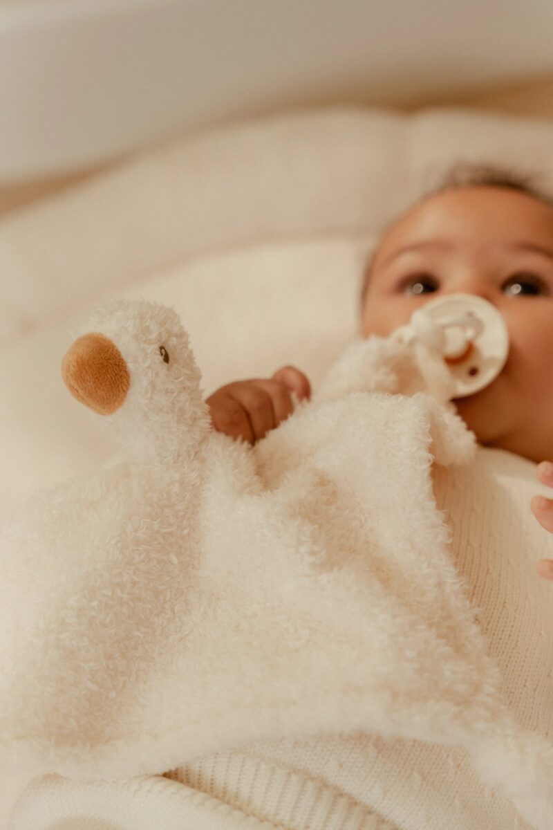 Little Dutch Kaisulapp hanekese ja lutihoidjaga ´Newborn Naturals´ GRS - Image 4