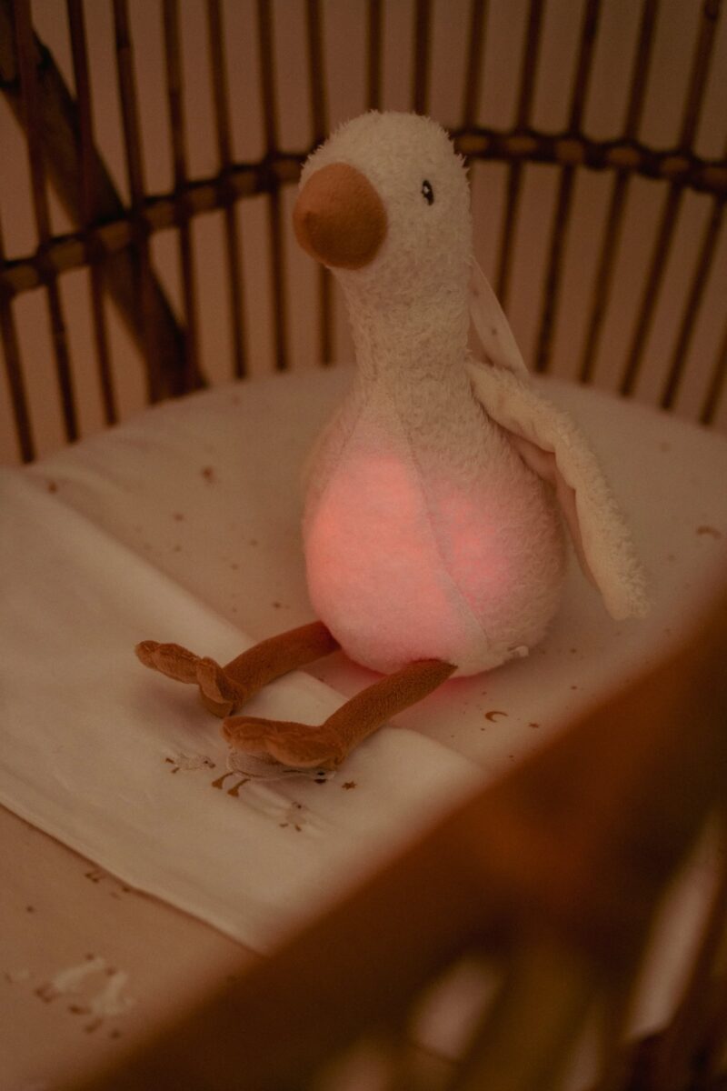 Little Dutch Kaisu haneke heli & valgusega ´Newborn Naturals´ GRS - Image 10