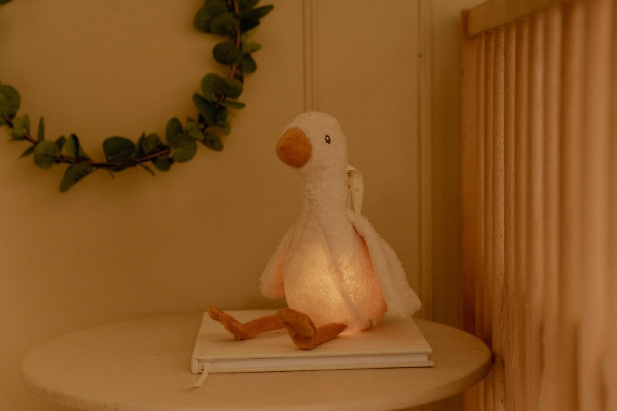 Little Dutch Kaisu haneke heli & valgusega ´Newborn Naturals´ GRS - Image 13