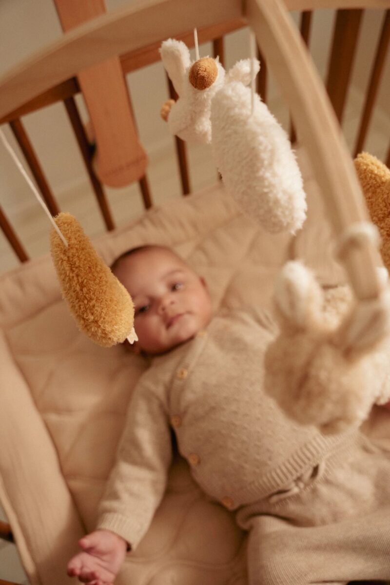 Little Dutch Muusikakarussell ´Newborn Naturals´ FSC puidust - Image 10