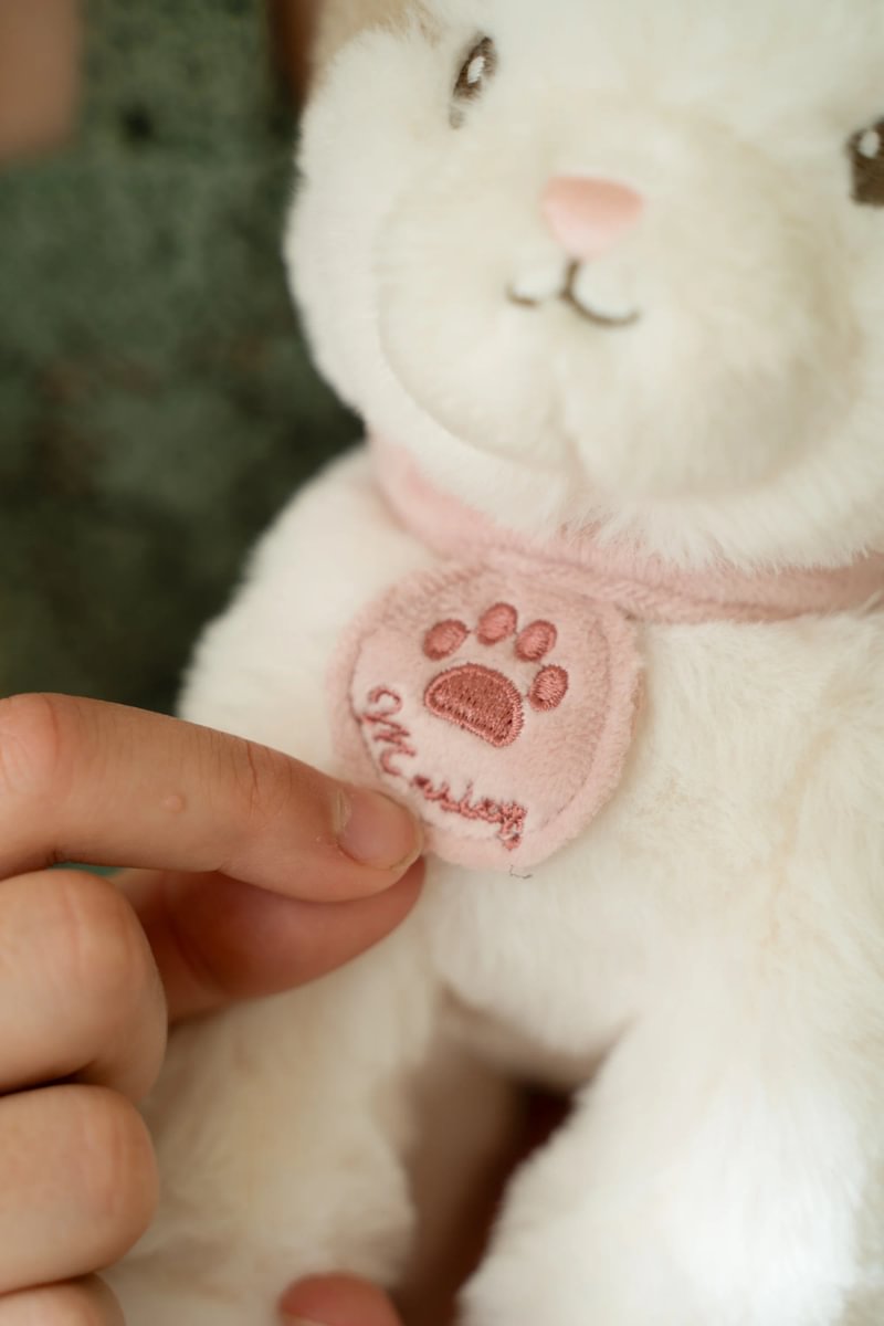 Little Dutch Pehme kass Marely koos kandekotiga GRS - Image 14