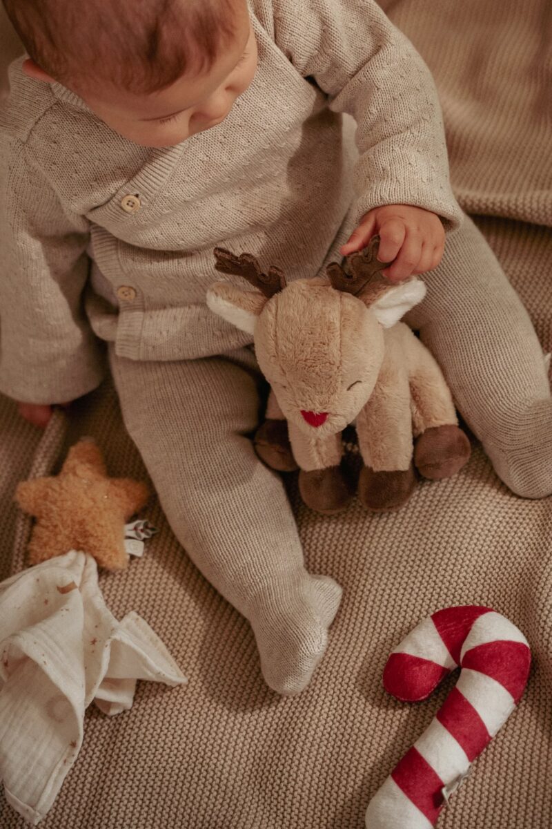 Little Dutch Kinkekomplekt pehmete mänguasjadega ´Christmas´ GRS - Image 14