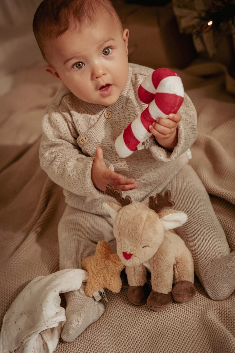 Little Dutch Kinkekomplekt pehmete mänguasjadega ´Christmas´ GRS - Image 6