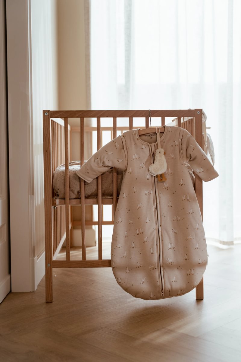 Little Dutch Lutihoidja `Goose´ - Image 5