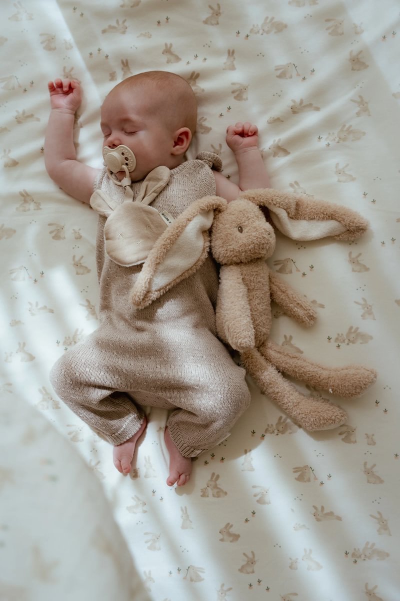 Little Dutch Lutihoidja `Rabbit´ - Image 4