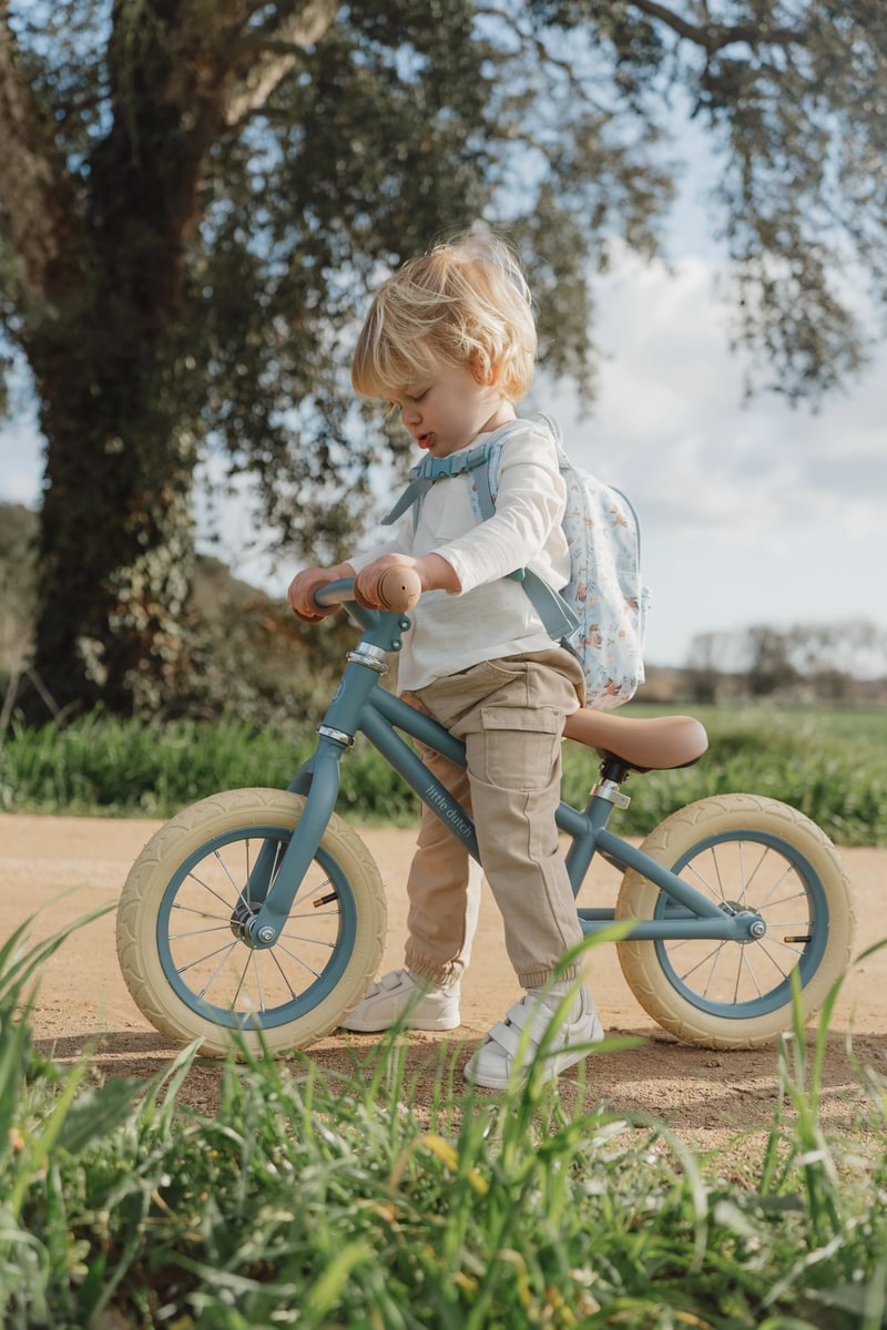 Little Dutch jooksuratas ´Blue´ - Image 11